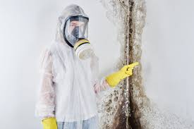 Trusted Chattahoochee, FL Mold Inspection Experts